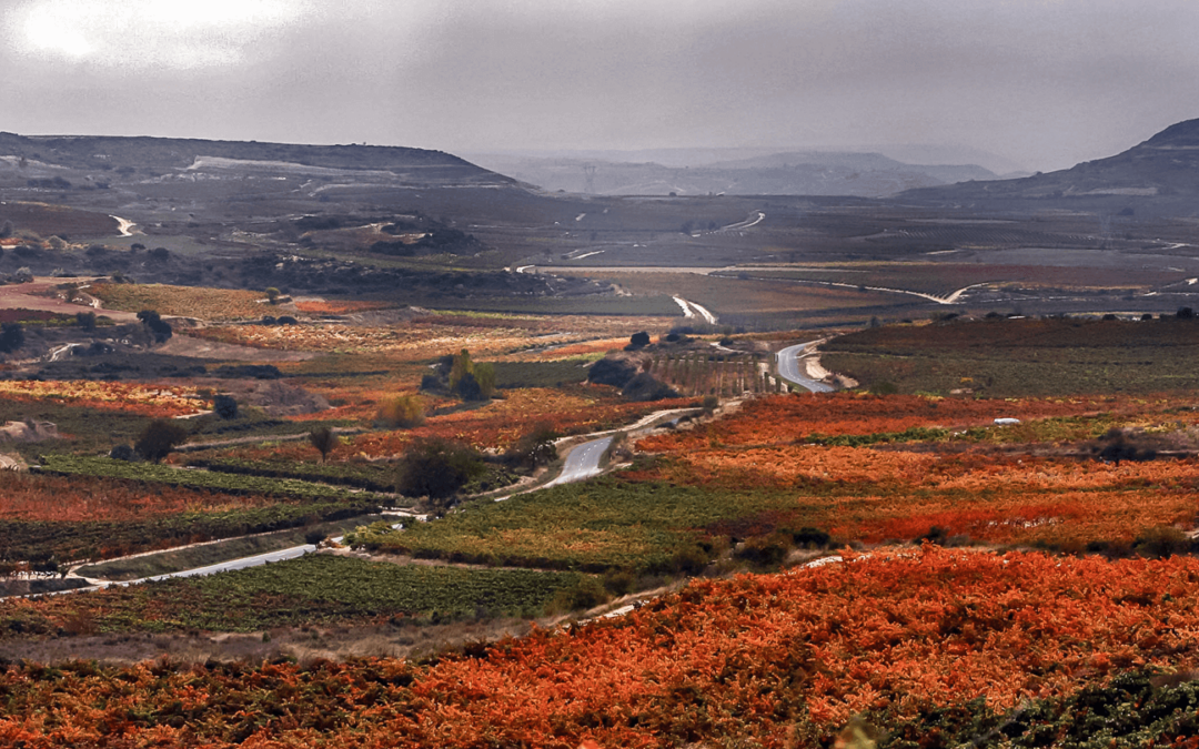 What to see in Haro, the capital of the Rioja wine region