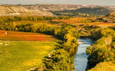 What to do in La Rioja: the best plans for your wine tourism getaway