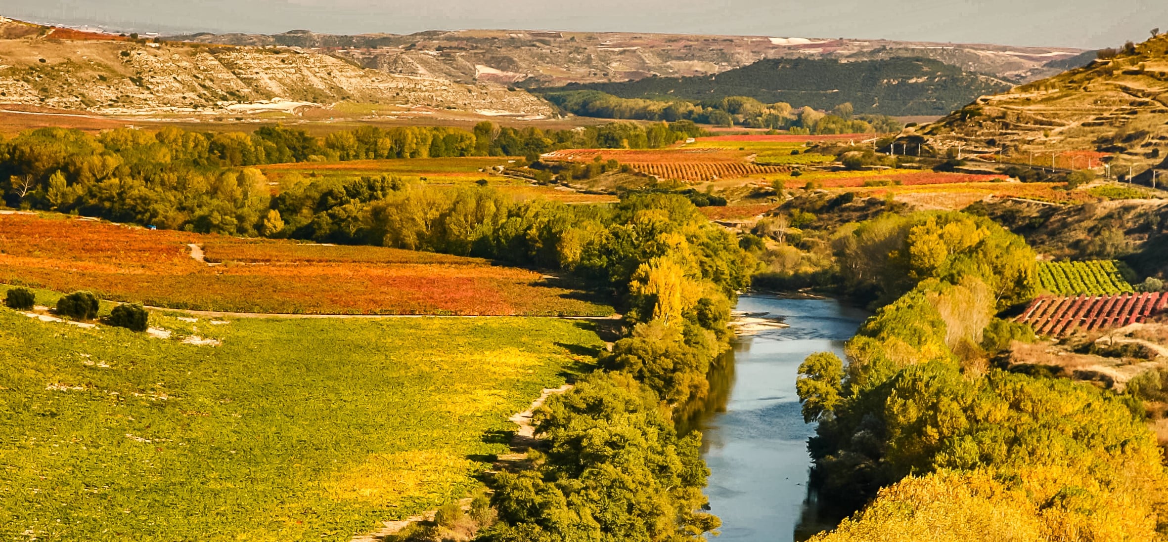 que hacer en La Rioja