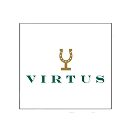 Logo Bodegas Virtus