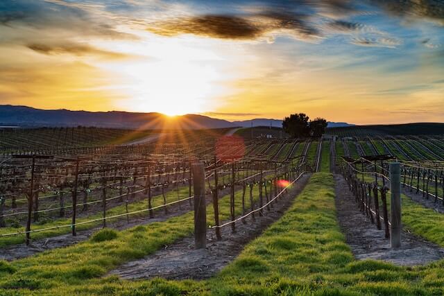 bodegas de otras zonas